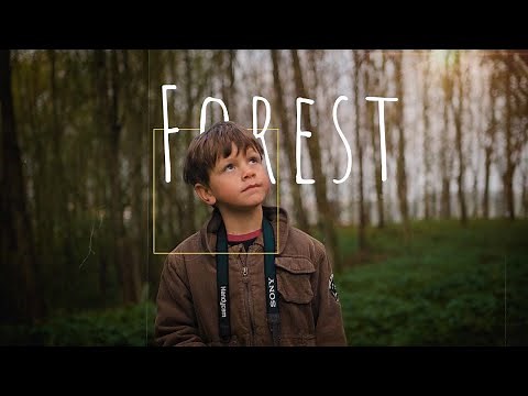 Cinematic Forest walk [ nature video 4k ] sony a7iii