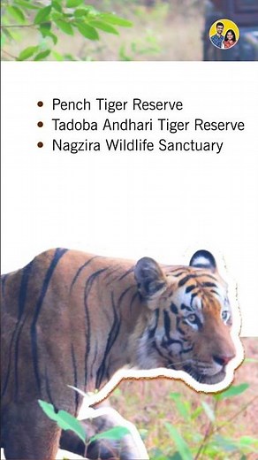 Top places to visit in Nagpur | Nagpur Travel Guide