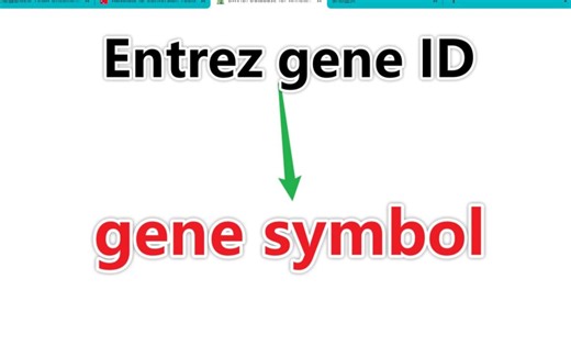 六十四：全网最全基因ID一键转换