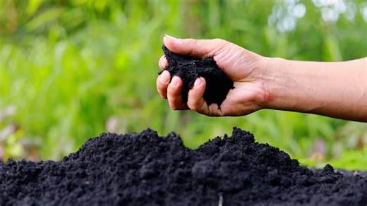 Organic Liquid Humic Acid: 4 Ways This Pet-Friendly Solution Transforms Garden Soil