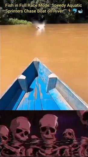 #edit