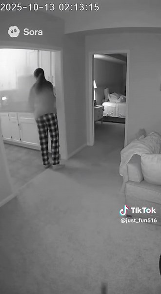 Incredible Dog Saves Baby: Heartwarming CCTV Footage