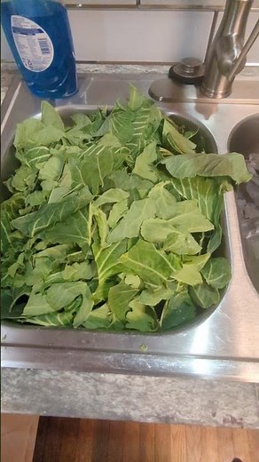 Composting 101: Unlocking the Secrets for a Thriving Garden!