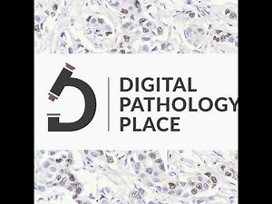 73: Digital Pathology 101 Chapter 3 | Image Analysis, Artificial Intelligence, and Machined Learn...