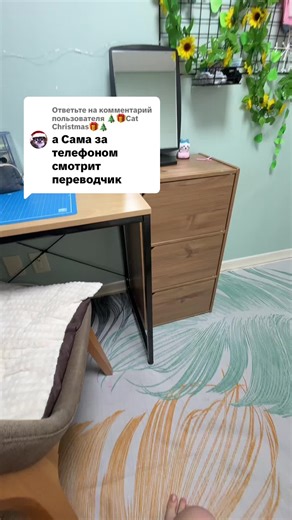 Cat Christmas Celebrations: Tips and Fun Ideas