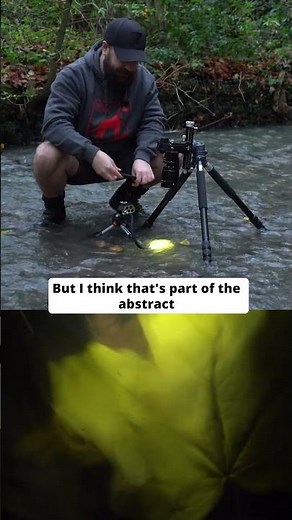 Lighting a Leaf Underwater for Abstract Macro Shots 🍂