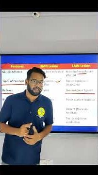 Difference between Upper Motor and Lower Motor Neuron Lesion Explained II timesphysio