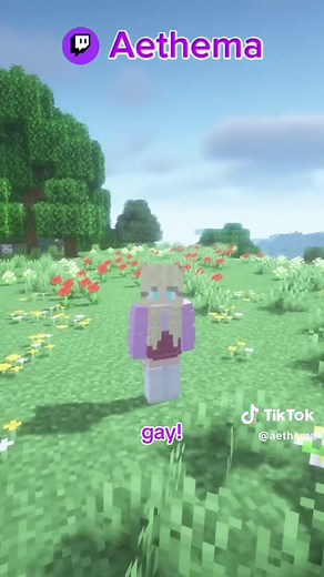 Lesbian Resource Packs for Minecraft Java - Best Texture Packs