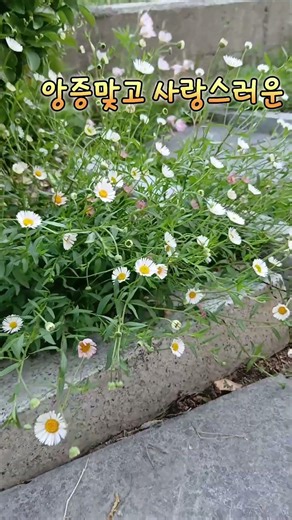 원평소국