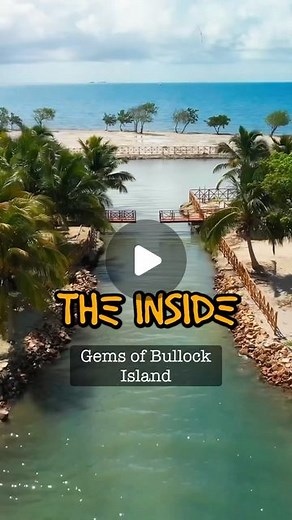 Funky Friday on Instagram: "That’s how you create GENERATIONAL wealth"