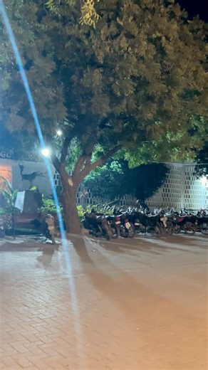 Effective Bodybuilding Tips for Beginners