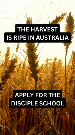 🔥 Disciple School 2026 – Enrolments Now Open 🔥 Jesus didn’t just call people to believe—He called them to follow. To leave the old life behind and step into a new way of living. This year-long journey will help you: 📖 Abide in Christ with daily rhythms of prayer & Scripture 🙌 Walk in obedience to His words 🔥 Grow in identity, character, and mission 💡 If you’re asking, “What does it look like to truly follow Him today?” — Disciple School is for you. Apply now! | The Global Harvest