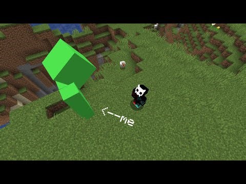 I secretly hacked on my friend's Minecraft server