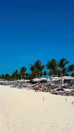 book your ferry now 👉 www.baleariacaribbean.com Aboard our fast ferry you can choose between ▪️economy▪️and ▪️economy premium▪️ seating — each designed to make your journey comfortable, but with different perks to match your needs. #BaleariaCaribbean #BiminiBahamas #FastFerry #Bimini #IslandEscape | Baleària Caribbean