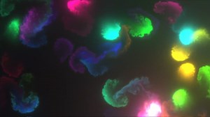 Colorful Fluid Animation 音乐律动