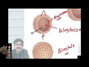 Basis of classification - 1 Video Lecture - UPSC