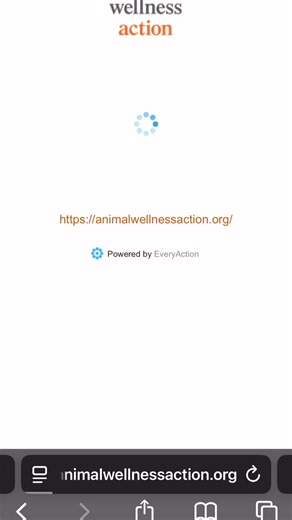 ⏳ Time is running out. Half a million owls are marked for death — and this may be our only second chance to stop it. If you love owls… forests… please, read this article. It could change everything. At the end, there are two short forms that only Americans can “autograph”or “pen” out: 🦉 One to thank the senators who tried to save them. 🦉 One to ask the others to change their vote — from slaughter to sanctuary. It takes one minute. One minute to give them a voice. One minute to say not like thi