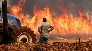Record-breaking wildfires torching South America, impacting millions