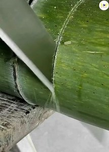 6.6K views · 26 reactions | Amazing Creative Ideas Making Pillows By Use Bamboo Cre: How It’s Made | How It’s Made | Facebook