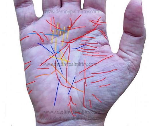 Too Many Palm Lines? What Does it Mean? - Destiny Palmistry