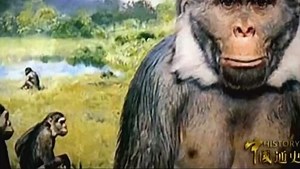 中国古代史之人类的起源与进化