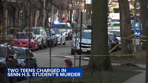 2 teens charged with murder in shooting near Senn High School in Edgewater appear in court