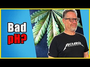 I Stopped Worrying About pH Problems in My Cannabis Grow Once I Knew About THIS