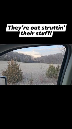 10K views · 94 reactions | Almost time to hit the woods! #outdoors #hunting #turkeyhunting #wildanimals #springtime #huntingseason #deer #wildlife | TUT Outdoors | Facebook