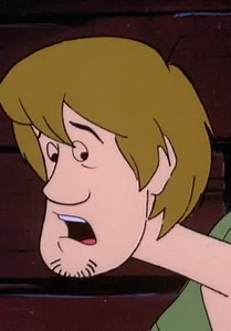 The Scooby-Doo Show S02:E06 - The Ozark Witch Switch