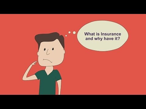 Cartoon insurance