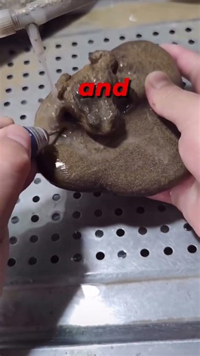 You won’t believe this isn't a real frog! 🐸🪨 #shortsviral