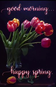 51K views · 1.3K reactions | Good Morning, Happy Spring! | Gifs, Vids & Music Etc | Facebook