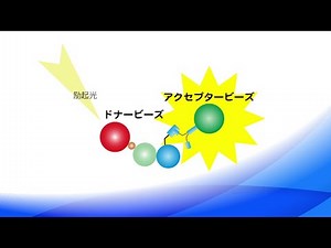 Protein-protein interaction analysis system using cell-free system and AlphaScreen technology