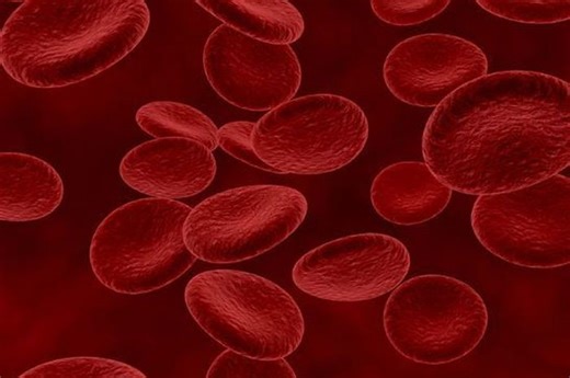 Fungsi dan Ciri-Ciri Sel Darah Merah, Materi IPA Kelas 8 SMP | Kids