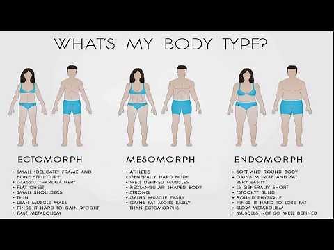 Diet and Exercise for Endomorph body type
