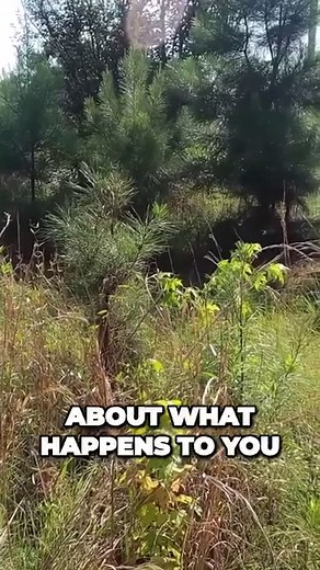 Unleashing Your Potential: Rising Above Tragedy and Harnessing Growth | Lawn Care Juggernaut