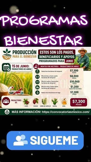 📌🎯Production for Wellbeing: These Are the Scheduled Payments, Beneficiaries, and Support for June
