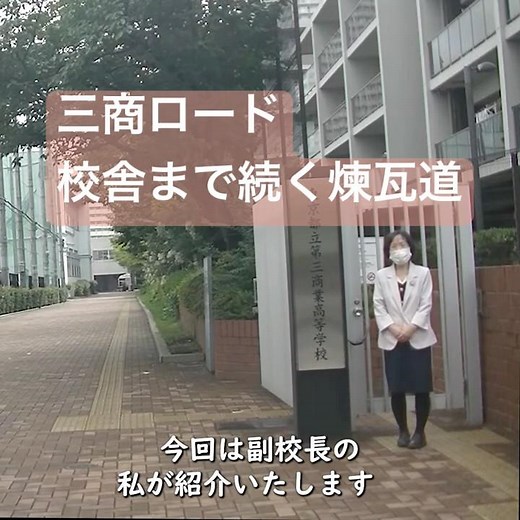 三商ロード(正門から玄関まで続く道） #第三商業 #商業高校 #受験 #都立高校 #高校受験