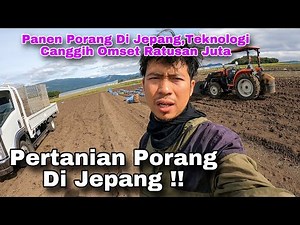 Intip Pertanian Porang Terbesar Di Jepang Teknologi Canggih Onset Ratusan Juta