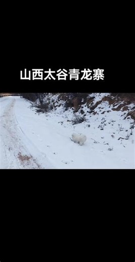 #我的旅行日记 #旅行碎片 #旅行vlog #旅行随拍 #旅游打卡