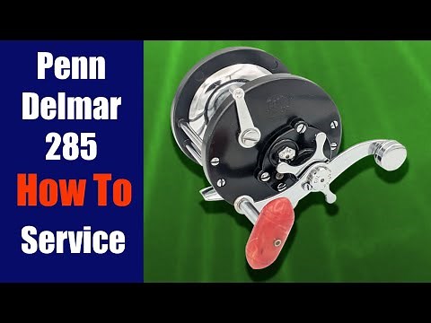 Penn Delmar 285 - How To Take Apart, Service & Reassemble | Fishing Reel Repair
