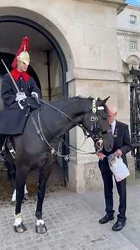Heartwarming moment Old Guard comes back to feed the King’s horse.
