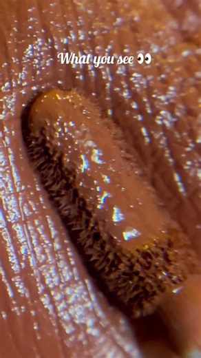 Saniya 𝜗𝜚 | UGC Creator ✨ on Instagram: "Captured every tiny detail — thanks to the magic of a micro lens 🔍✨ When the world up close looks this stunning, you can’t look away. 🔑 Trending Keywords (50): micro lens photography, macro shot, close-up photography, detail shot, aesthetic focus, photography gear, lens magic, texture photography, product detail, tiny world, artistic capture, creative lens, cinematic closeup, fine detail, bokeh effect, lens clarity, focus perfection, photography lover