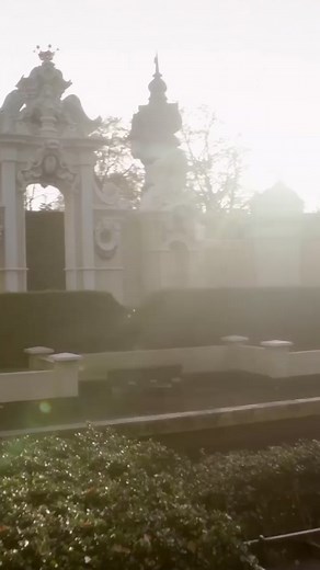 Wat heb jij altijd al willen weten over het Sprookjesbos? 🤔🍄 #efteling #sprookjesbos