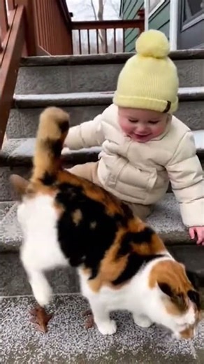 Cat’s Perfect Timing Saves the Moment #catvideos #babyshorts #viral