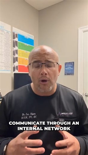 Your body was designed to heal — but only if it’s connected. When your spine’s misaligned, your gut’s off balance, or your cells can’t communicate, healing slows down. We see it every day: fatigue, pain, anxiety, digestive issues — all tied to disconnection. Wee help patients reconnect their systems through chiropractic care, detox support, and personalized nutrition. Because when your body reconnects, it recovers. Click the link in bio or visit BioLimitless.com to and register for free now to l