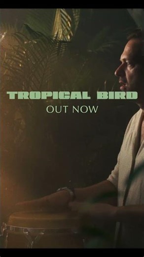 Theodor -"Tropical Bird" #sweet #soul #music #single #newalbum #holocene #theodor