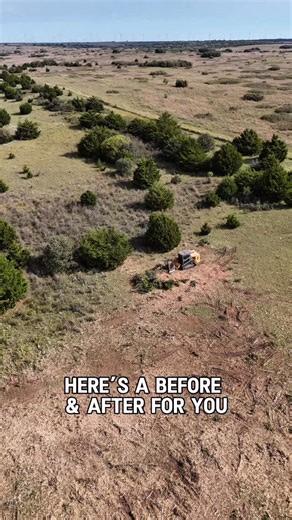 Will Stewart | Cedar Tree Removal on Instagram: "Before & After #hItscedarclearing #cedarremoval #landmanagement #cedartrees #invasivespecies #mulcher #mulching #treeremoval"
