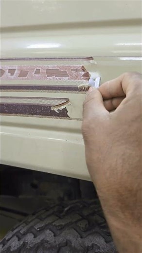 car sticker remove#automobile #ppfprotection #lifeisbutadream #detailing