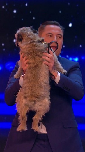 Yoga, but with your DOG! 😆🐶 #bgt #britainsgottalent #yoga #doga #dogsoftiktok #petsoftiktok #homeworkout #dog #doglovers #learnontiktok